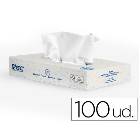 PAÑUELO TISSU 2 CAPAS 21X20,7 CM CAJA DE 100 UNIDADES PAÑUELO TISSU 2 CAPAS 21X20,7 CM CAJA DE 100 UNIDADES