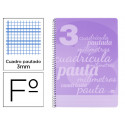 CUADERNO ESPIRAL LIDERPAPEL FOLIO PAUTAGUIA TAPA PLASTICO 80H 75GR CUADRO PAUTADO 3MM CON MARGEN COL