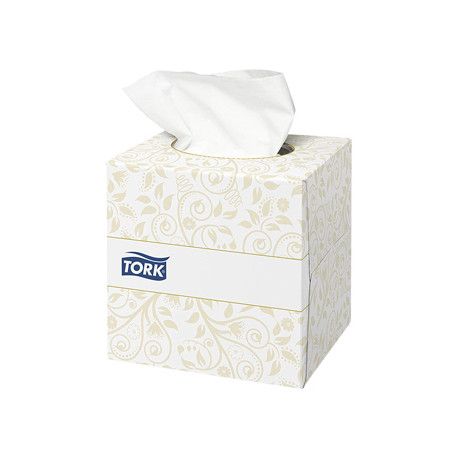 PAÑUELOS FACIALES TORK EXTRASUAVES 2 CAPAS 20,9X20 CM CAJA CUBO DE 100 UNIDADES PAÑUELOS FACIALES TORK EXTRASUAVES 2 CAPAS 20,9X20 CM CAJA CUBO DE 100 UNIDADES
