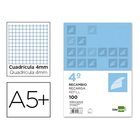 RECAMBIO LIDERPAPEL CUARTO APAISADO 100 H 2TCA-01 CUADRO 4 MM 2 TALADROS CON MARGEN RECAMBIO LIDERPAPEL CUARTO APAISADO 100 H 2TCA-01 CUADRO 4 MM 2 TALADROS CON MARGEN