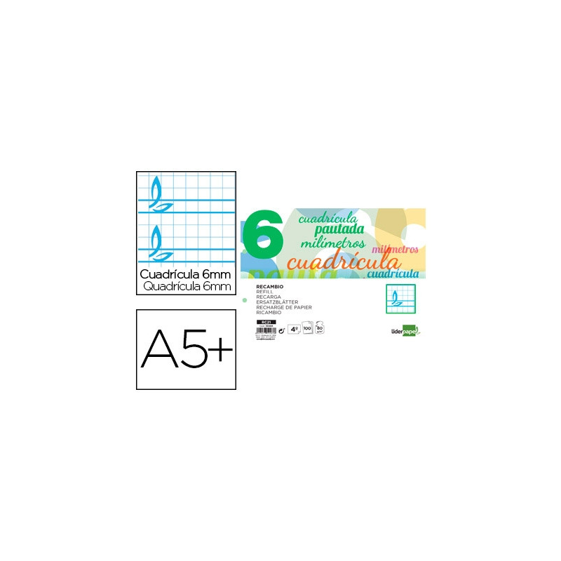 RECAMBIO LIDERPAPEL CUARTO APAISADO PAUTAGUIA 100 HOJAS 75 G CUADRICULADO PAUTADO 6 MM CON MARGEN 2 