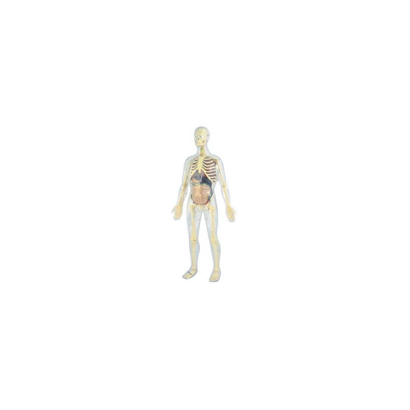 JUEGO MINILAND ANATOMIA HUMANA 45 PIEZAS 56 CM