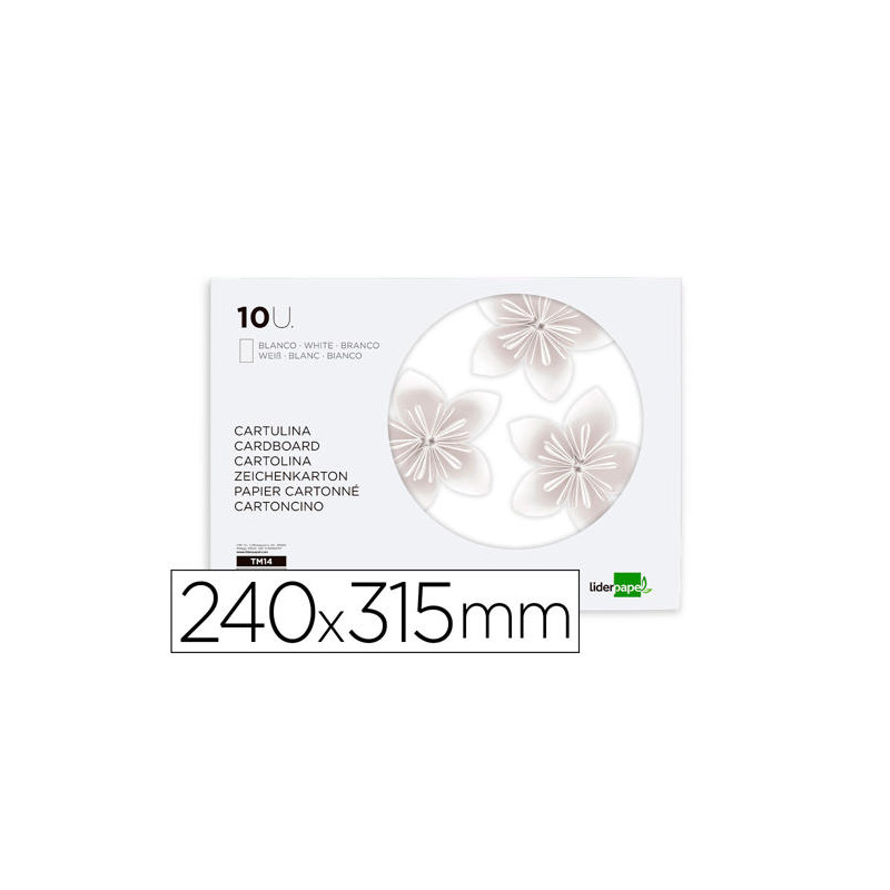 BLOC TRABAJOS MANUALES LIDERPAPEL CARTULINA 240X315MM 10 HOJAS COLOR BLANCO