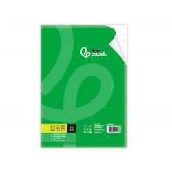 RECAMBIO LIDERPAPEL DIN A4 100 HOJAS 75 GR PAUTA 4 3.5MM CON MARGEN 4 TALADROS