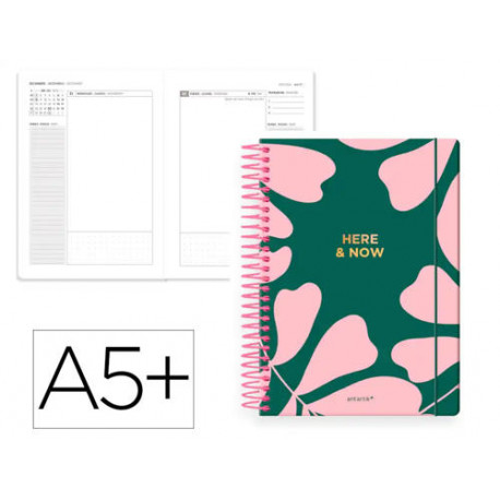 AGENDA ESPIRAL ANTARTIK A5+ 2026 DIA PAGINA HERE AND NOW PAPEL 80 GR AGENDA ESPIRAL ANTARTIK A5+ 2026 DIA PAGINA HERE AND NOW PAPEL 80 GR