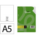 RECAMBIO LIDERPAPEL DIN A5 100 HOJAS 75 GR LISO SIN MARGEN 6 TALADROS