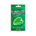 CHICLE TRIDENT GRAGEAS SABOR HIERBABUENA SIN AZUCAR BOLSA DE 43,5 GR