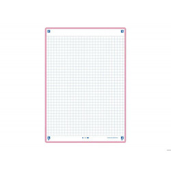 FICHA DE REVISION OXFORD FLASHCARDS 2.0 148X210 MM 250 G CUADRICULA 5MM COLOR ROSA PAQUETE DE 30 UNI