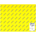 CARTULINA GUARRO IRIS 50X65 CM 185 GR PACK DE 120 UNIDADES COLORES SURTIDOS