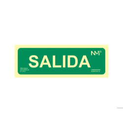 PICTOGRAMA ARCHIVO 2000 SALIDA PVC HOMOLOGADA VERDE LUMINISCENTE 300X105 MM