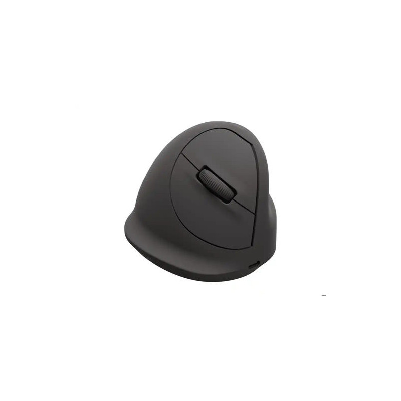 RATON FELLOWES ERGONOMICO VERTICAL BREYTA MEDIANO DIESTROS OPTICO 1600 DPI COLOR NEGRO