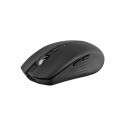 RATON TNB GRADIENT INALAMBRICO 1600 DPI USB TIPO-C SEIS BOTONES COLOR NEGRO