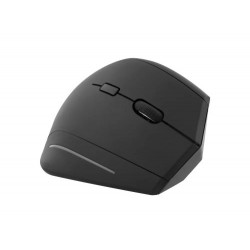 RATON TNB ERGO LINE INALAMBRICO USB TIPO-A 1600 DPI SEIS BOTONES PARA DIESTROS COLOR NEGRO