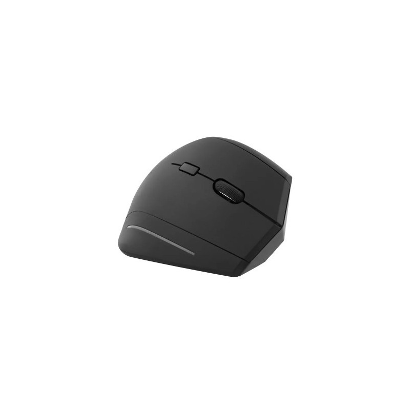 RATON TNB ERGO LINE INALAMBRICO USB TIPO-A 1600 DPI SEIS BOTONES PARA DIESTROS COLOR NEGRO